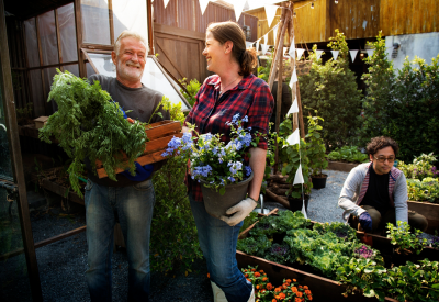 Three people working in a community garden. Two are holding large potted plants.